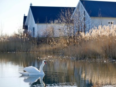 Holiday house Ferienhaus Skipper Galerie Olpenitz - Outdoor photo 6