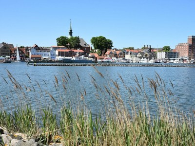 Holiday house Ferienhaus Fernweh Olpenitz - Environment photo 20