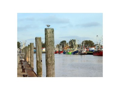 Holiday apartment Ferienwohnung Swan St. Peter-Ording - Environment photo 14