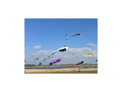 Holiday apartment Ferienwohnung Swan St. Peter-Ording - Environment photo 16