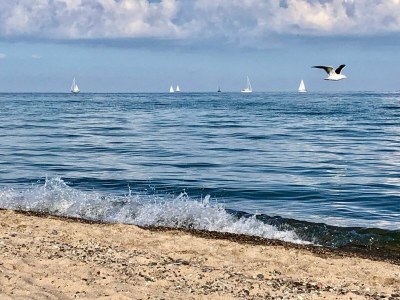 Holiday house Ferienhaus Nordstjernen Olpenitz - Environment photo 33