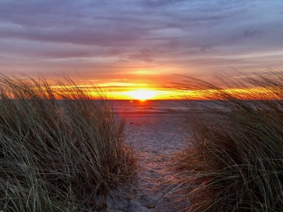 Holiday house Ferienhaus Nordstjernen Olpenitz - Environment photo 34