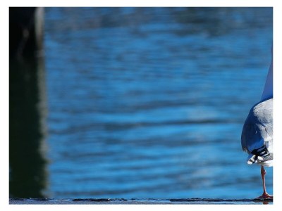 Holiday house Ferienhaus Meeresbrise Olpenitz - Environment photo 29