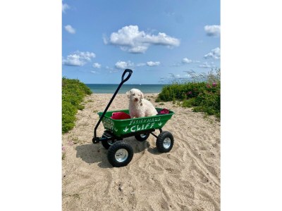 Holiday house Ferienhaus Cliff Olpenitz - Environment photo 39