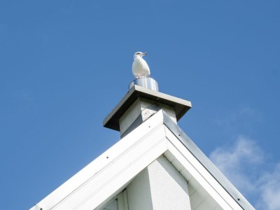 Holiday house Ferienhaus Heimathafen Olpenitz - Features photo 24