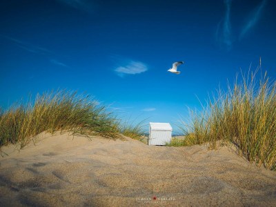 Holiday house Ferienhaus Biscaya Olpenitz - Environment photo 23