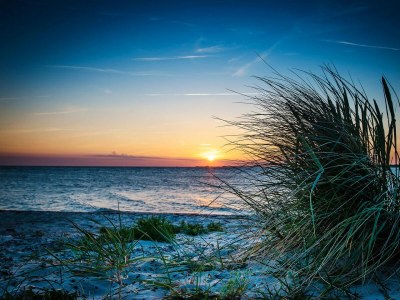 Holiday house Ferienhaus Kegelrobbe Olpenitz - Environment photo 30