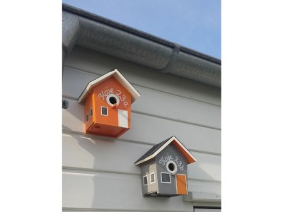 Holiday house Ferienhaus Koje 23 Olpenitz - Outdoor photo 5