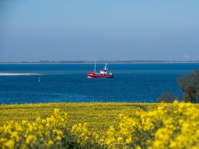 Holiday house Ferienhaus Strandkinder Olpenitz - Environment photo 26
