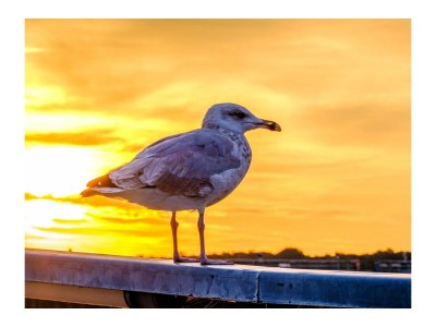 Holiday apartment Ferienwohnung Captain's Deck Travemünde - Outdoor photo 7