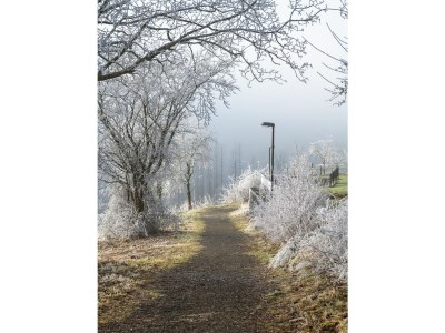 Holiday house Ferienhaus Spitzenblick 1 - St. Andreasberg im Harz - Outdoor photo 6