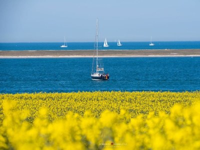 Holiday apartment Apartment 22 - Outdoor photo 12