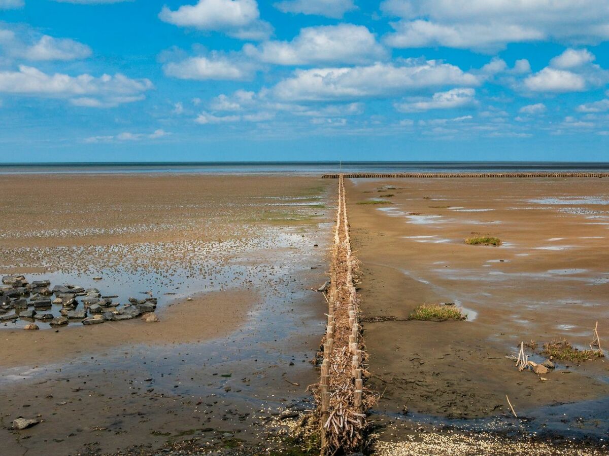 Holiday house Ferienhaus Paulsen Dagebüll - Outdoor photo 5
