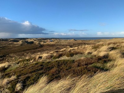 Holiday apartment Fewo 1 Sylt - Westerland - Outdoor photo 6