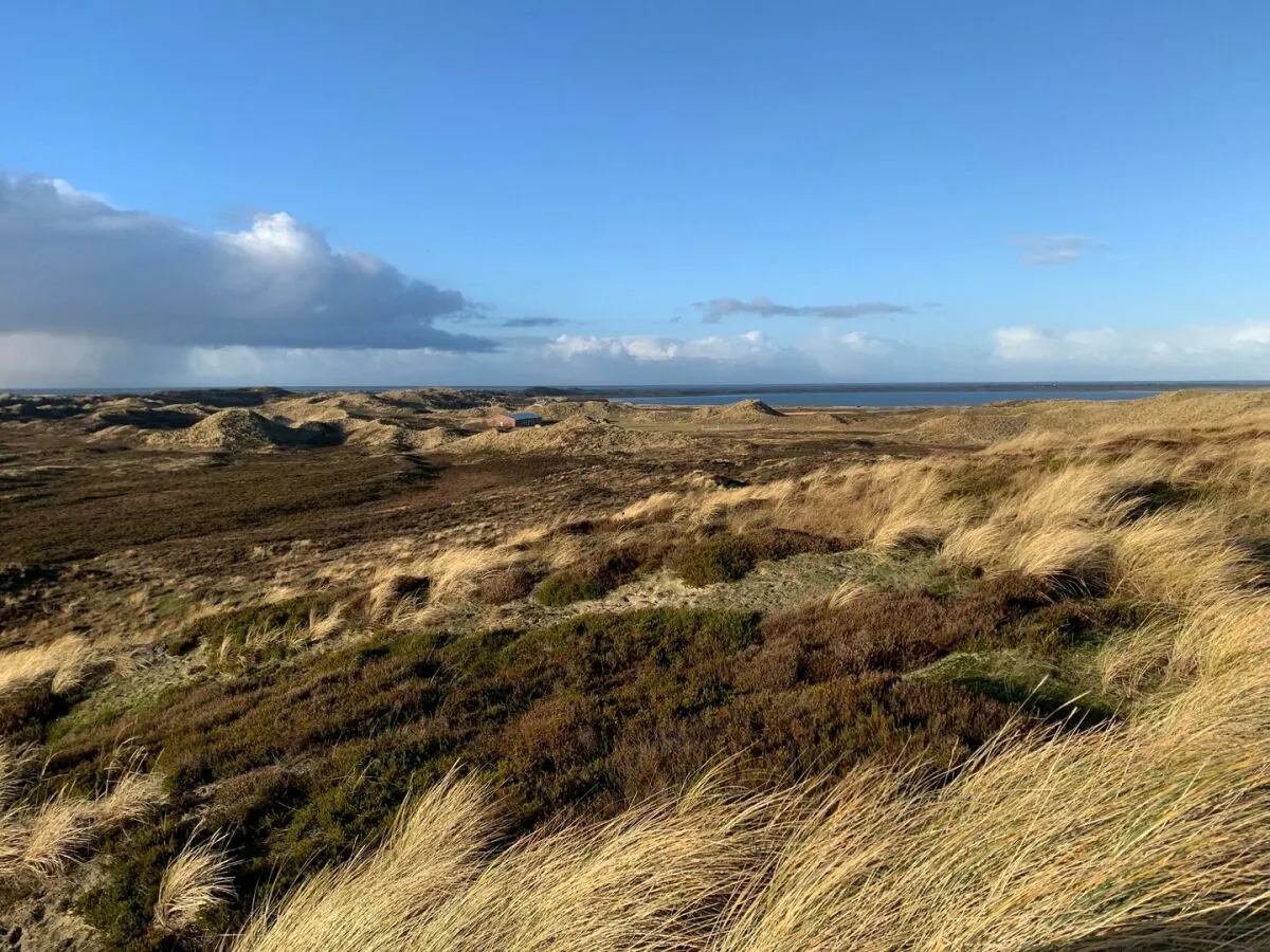 Holiday apartment Fewo 2 EG Sylt Westerland