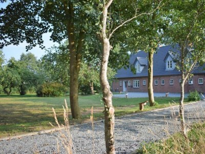 Holiday apartment Ferienwohnung Ole Hof Risum-Lindholm - Outdoor photo 2