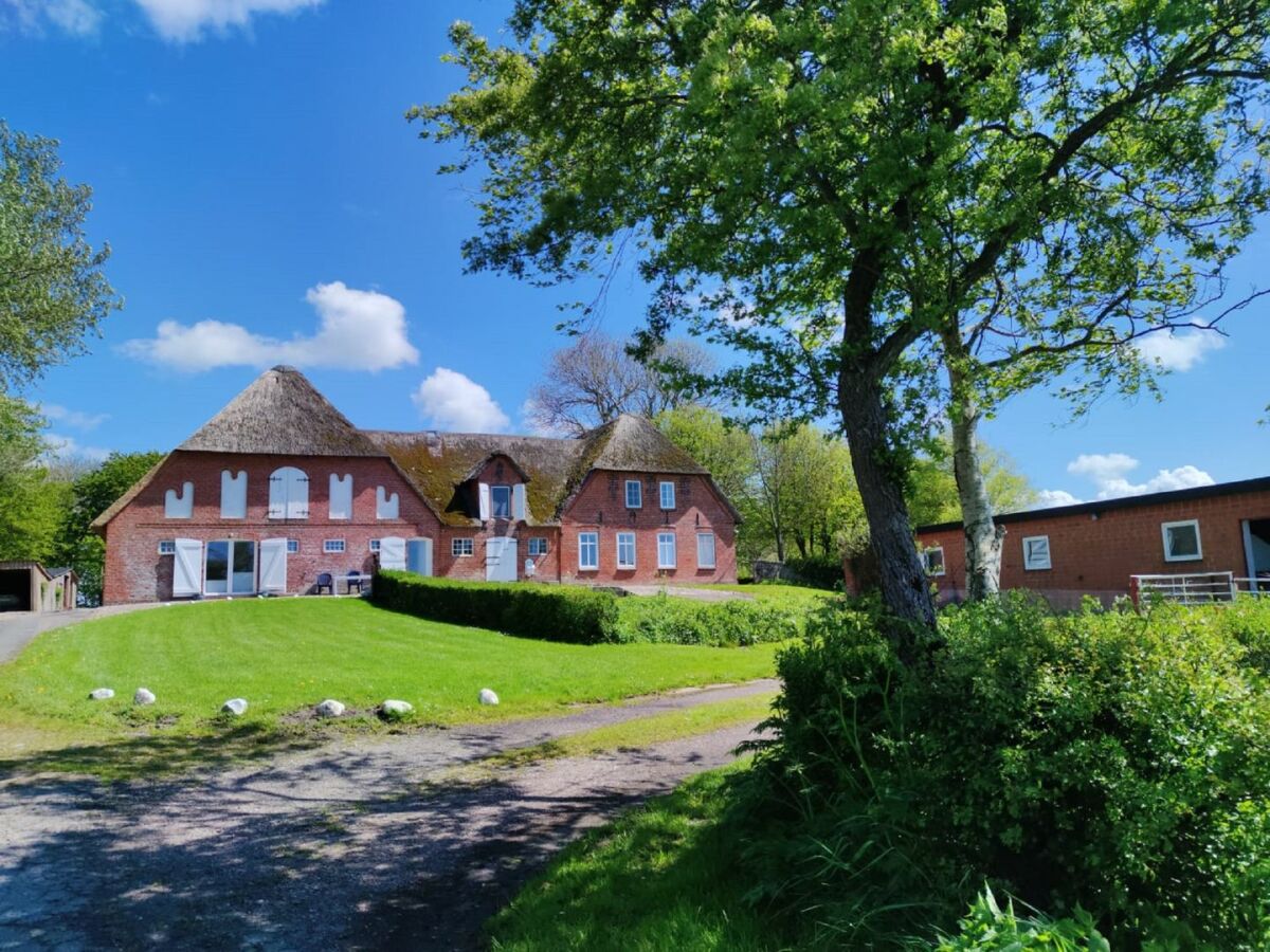 Holiday apartment Ferienwohnung Clara Hof Döttgebüll - Outdoor photo 2