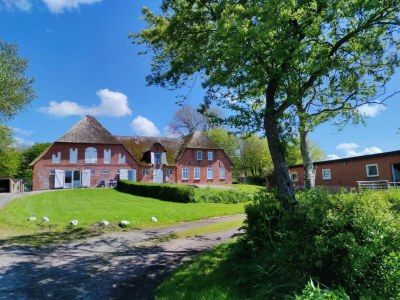 Holiday apartment Ferienwohnung Clara Hof Döttgebüll - Outdoor photo 2