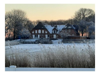 Holiday apartment Ferienwohnung Clara Hof Döttgebüll - Outdoor photo 16