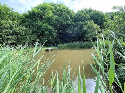 Holiday apartment Ferienwohnung Sina OG Hof Döttgebüll - Outdoor photo 9