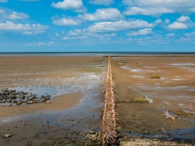 Holiday house Ferienhaus Jeppe Hus Humptrup - Outdoor photo 7