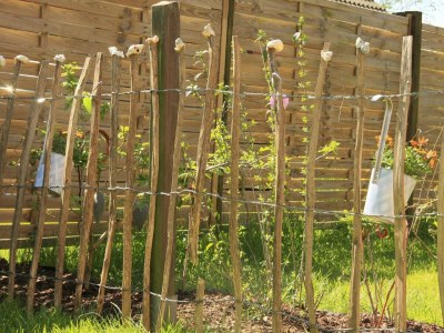 Holiday apartment Ferienwohnung Sanfte Brise III Dagebüll - Outdoor photo 4