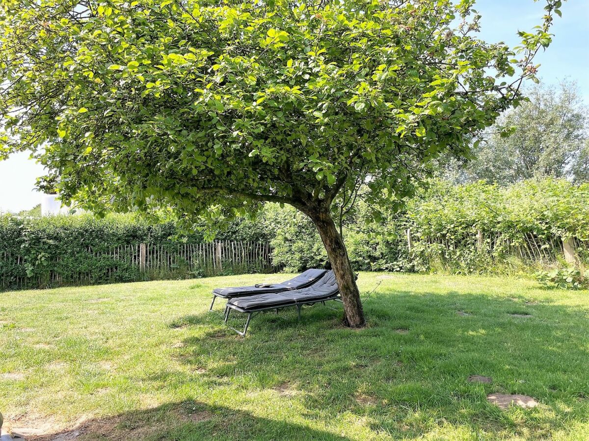 Holiday house Ferienhaus Dat groote Diekhuus Rodenäs - Outdoor photo 2