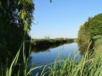 Holiday apartment Ferienwohnung Sönke-Nissen im Reetdachhaus Bongsiel - Environment photo 5