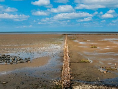 Holiday apartment Ferienwohnung Austernfischer Dagebüll - Outdoor photo 3