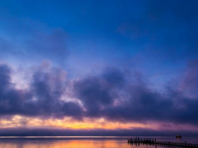 Holiday apartment Ferienwohnung Austernfischer Dagebüll - Environment photo 18