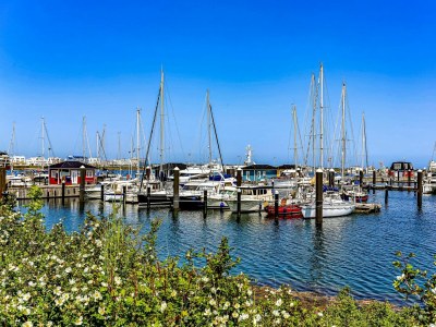 Holiday house Ferienhaus Haus am Fjord Olpenitz - Outdoor photo 7