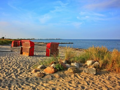 Holiday house Ferienhaus Haus am Fjord Olpenitz - Environment photo 24