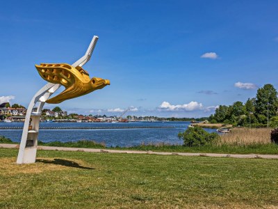 Holiday house Ferienhaus Haus am Fjord Olpenitz - Environment photo 26