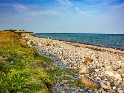 Holiday house Ferienhaus Haus am Fjord Olpenitz - Environment photo 28