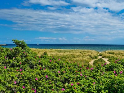 Holiday house Ferienhaus Haus am Fjord Olpenitz - Environment photo 29