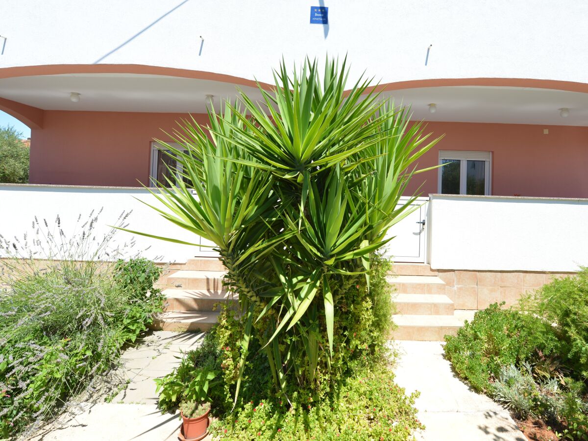 Apartment Two bedroom apartment with terrace and sea view Vir A-24953-c - Outdoor photo 4