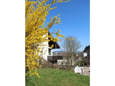 Apartment Ferienwohnung Blondel - Outdoor photo 12