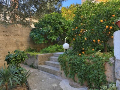 Apartment One bedroom apartment with terrace and sea view Podgora, Makarska A-2593-b - Outdoor photo 8