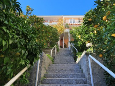Apartment One bedroom apartment with terrace and sea view Podgora, Makarska A-2593-c - Outdoor photo 11