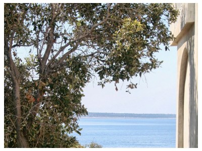 Apartment One bedroom apartment near beach Mandre, Pag A-4084-c - Outdoor photo 31