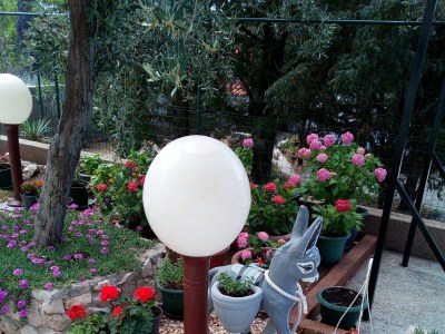 Apartment Studio flat with balcony and sea view Barbat, Rab AS-4862-a - Outdoor photo 5