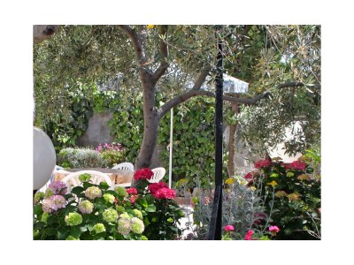 Apartment Studio flat with balcony and sea view Barbat, Rab AS-4862-a - Outdoor photo 6