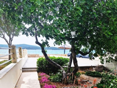 Apartment Two bedroom apartment near beach Žaborić, Šibenik A-6097-b - Outdoor photo 7