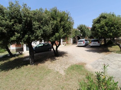 Apartment One bedroom apartment with terrace Mandre, Pag A-6418-c - Outdoor photo 10