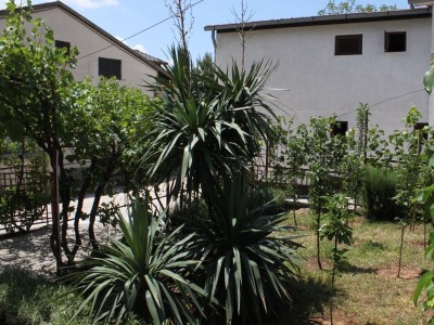 Apartment One bedroom apartment with balcony and sea view Starigrad, Paklenica A-6431-b - Outdoor photo 8