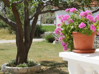 Apartment One bedroom apartment near beach Vlašići, Pag A-6523-c - Outdoor photo 9