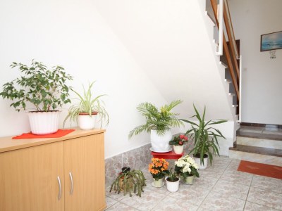 Apartment One bedroom apartment near beach Vlašići, Pag A-6523-c - Outdoor photo 12