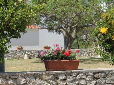 Apartment One bedroom apartment near beach Vlašići, Pag A-6523-c - Outdoor photo 15