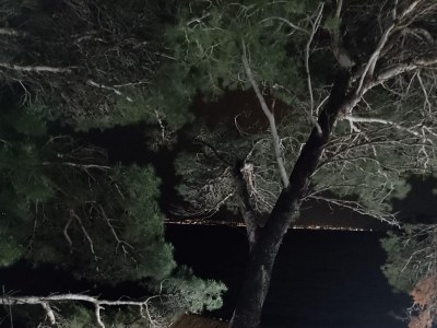 Apartment Three bedroom apartment near beach Ugljan A-19580-a - Outdoor photo 9