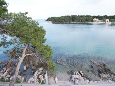 Apartment Three bedroom apartment near beach Ugljan A-19580-a - Outdoor photo 10